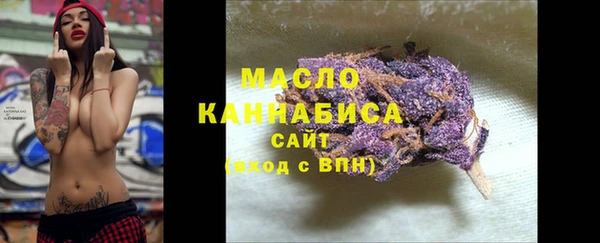 дживик Няндома