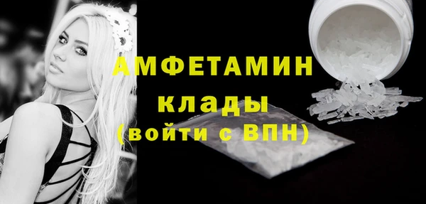 дживик Няндома