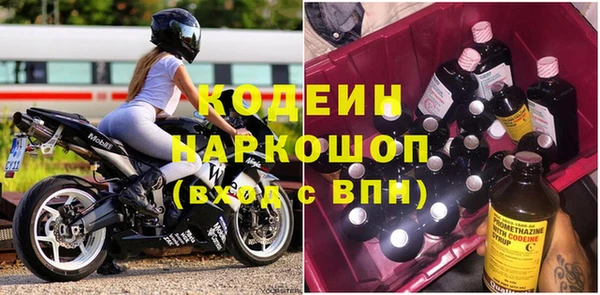 дживик Няндома